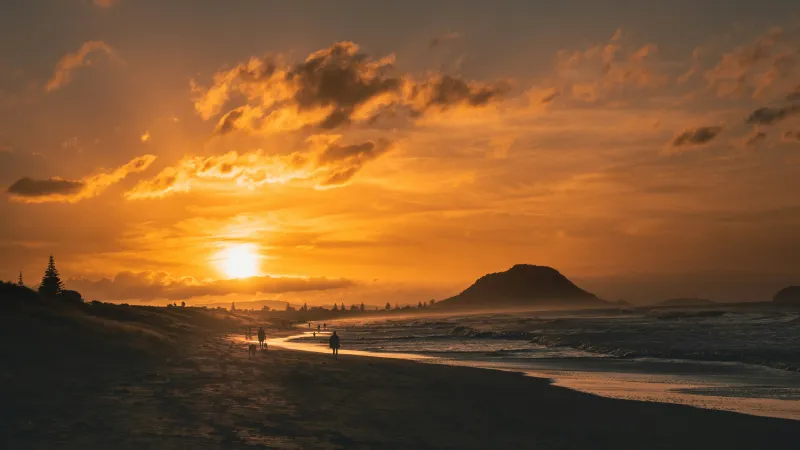 How to Choose the Right Counsellor in Tauranga